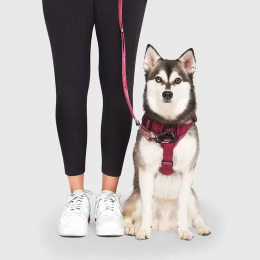 Canada Pooch Complete Control Dog Harness - Talis Us