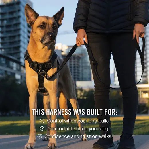 Canada Pooch Complete Control Dog Harness - Talis Us