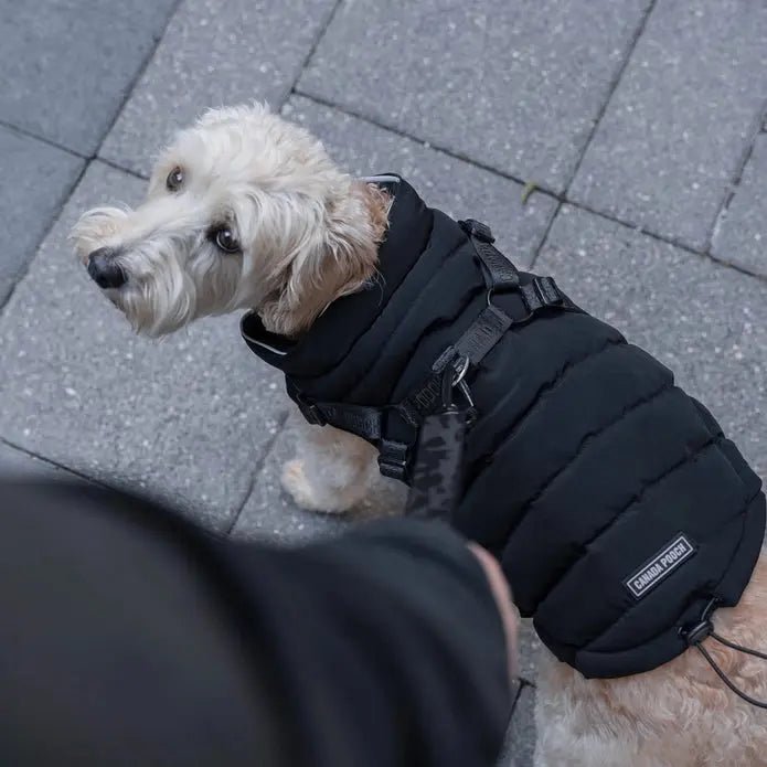 Canada Pooch Dog Puffer with Harness - Talis Us
