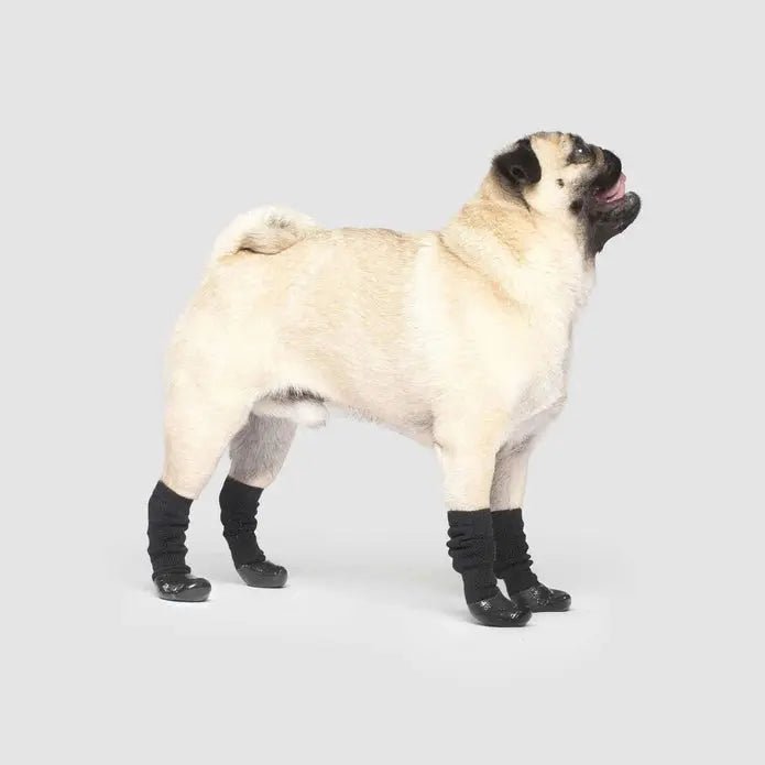 Canada Pooch Dog Slouchy Socks - Talis Us