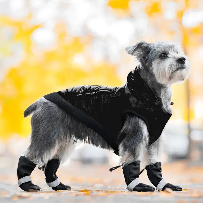 Canada Pooch Dog Soft Shield Boots - Talis Us
