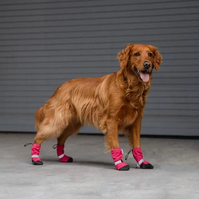 Canada Pooch Dog Soft Shield Boots - Talis Us
