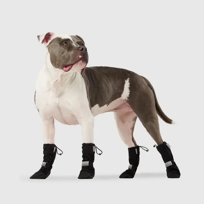 Canada Pooch Dog Soft Shield Boots - Talis Us