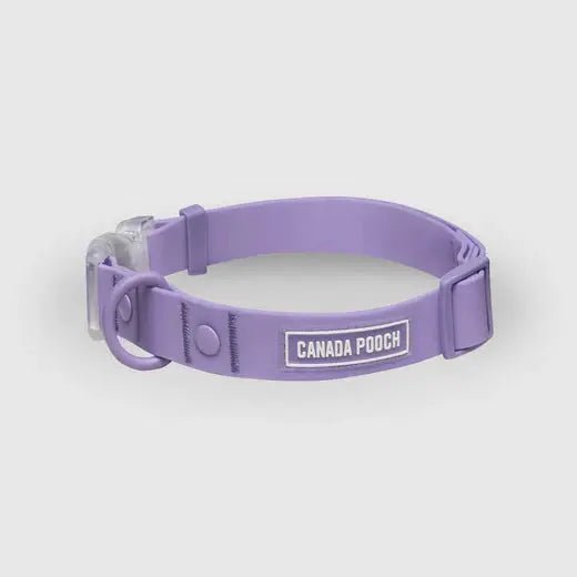 Canada Pooch Dog Waterproof Collar - Talis Us