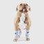 Canada Pooch Dog Work It Warmer Snowy Fox - Talis Us