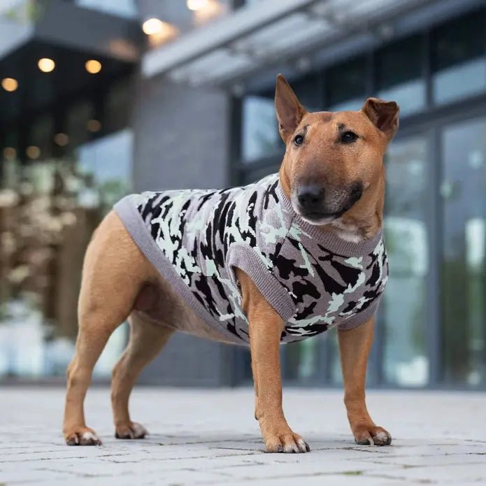 Canada Pooch Glow - in - The - Dark Dog Sweater - Talis Us