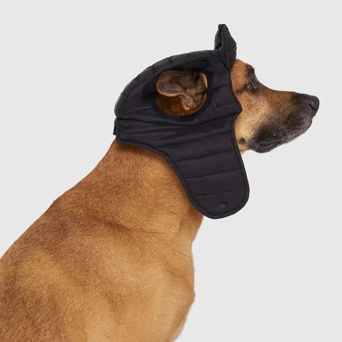 Canada Pooch Puffer Dog Hat - Talis Us