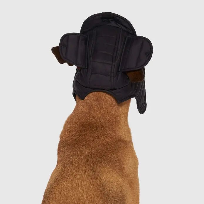 Canada Pooch Puffer Dog Hat - Talis Us