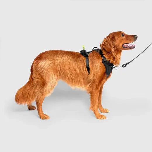 Canada Pooch The Everything Harness with Poop Dispenser - Talis Us
