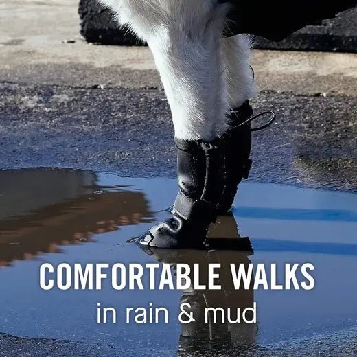 Canada Pooch Waterproof Rain Dog Boots - Talis Us