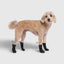 Canada Pooch Waterproof Rain Dog Boots - Talis Us