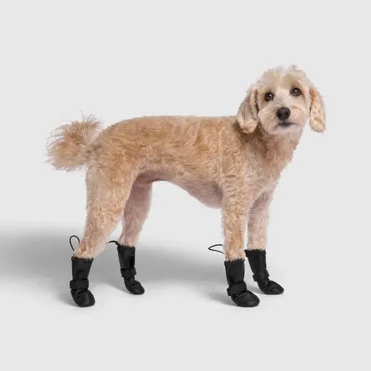 Canada Pooch Waterproof Rain Dog Boots - Talis Us