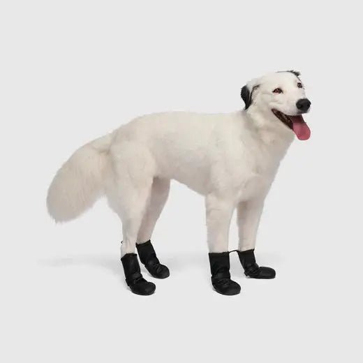 Canada Pooch Waterproof Rain Dog Boots - Talis Us