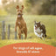 CANIDAE All Life Stages Chunky Stew Toppers Wet Dog Food 6ea/12.7 oz - Talis Us
