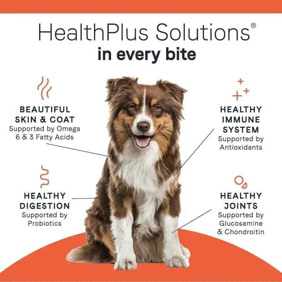 A brown and white dog sits amid text highlighting CANIDAE All Life Stages Lamb Meal & Rice Formula’s benefits: healthy skin and coat, digestion, immunity, and joints—all from premium ingredients in this CANIDAE dry dog food for all life stages.