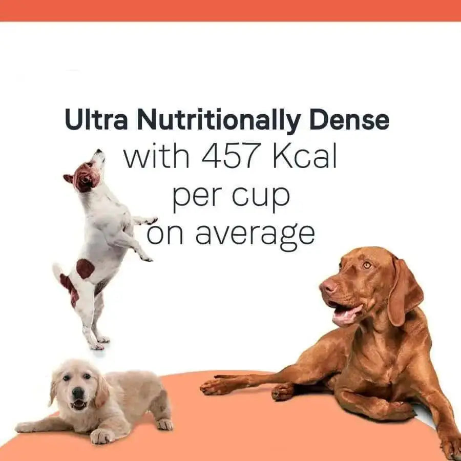 Three dogs—one standing, one lying down, one lounging—pose near text reading CANIDAE All Life Stages Multi-Protein Formula Dry Dog Food Chicken, Turkey, Lamb & Fish Meal with 457 Kcal per cup average on a white and orange background.