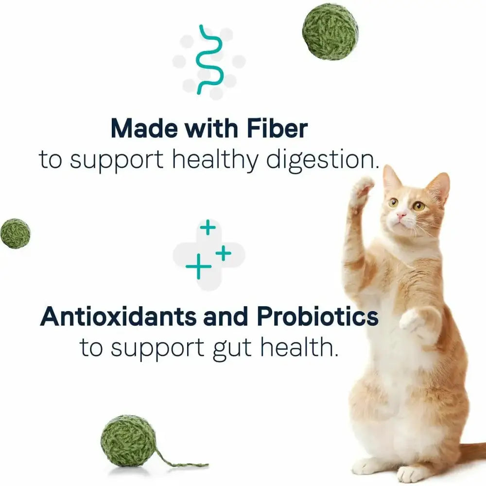 An orange and white cat stands beside green yarn balls. Text reads: CANIDAE Goodness for Digestion Formula with Real Chicken supports healthy adult cats with antioxidants and probiotics. Digestion and health icons appear above the text.