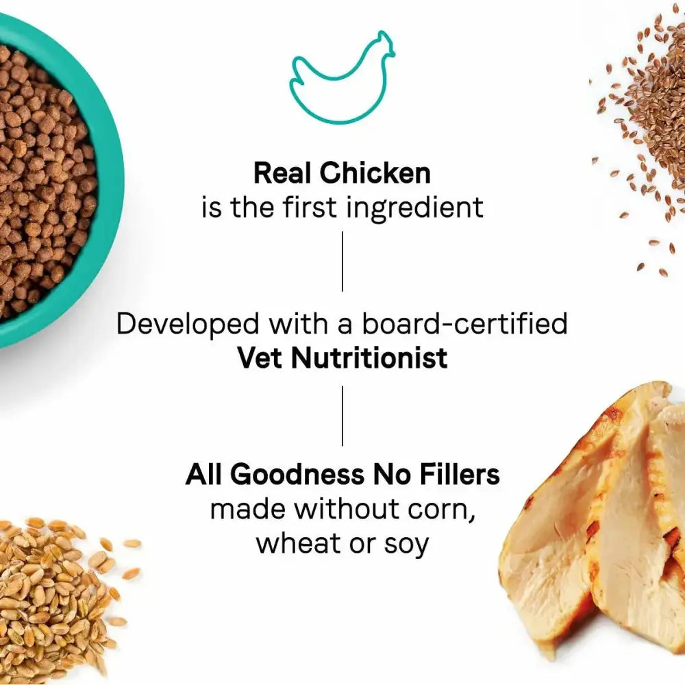 Infographic of CANIDAE Goodness for Digestion Formula with Real Chicken Dry Cat Food, showing grains, seeds, and chicken. Real chicken is the first ingredient—formulated by vets for healthy adults with no corn, wheat, or soy.
