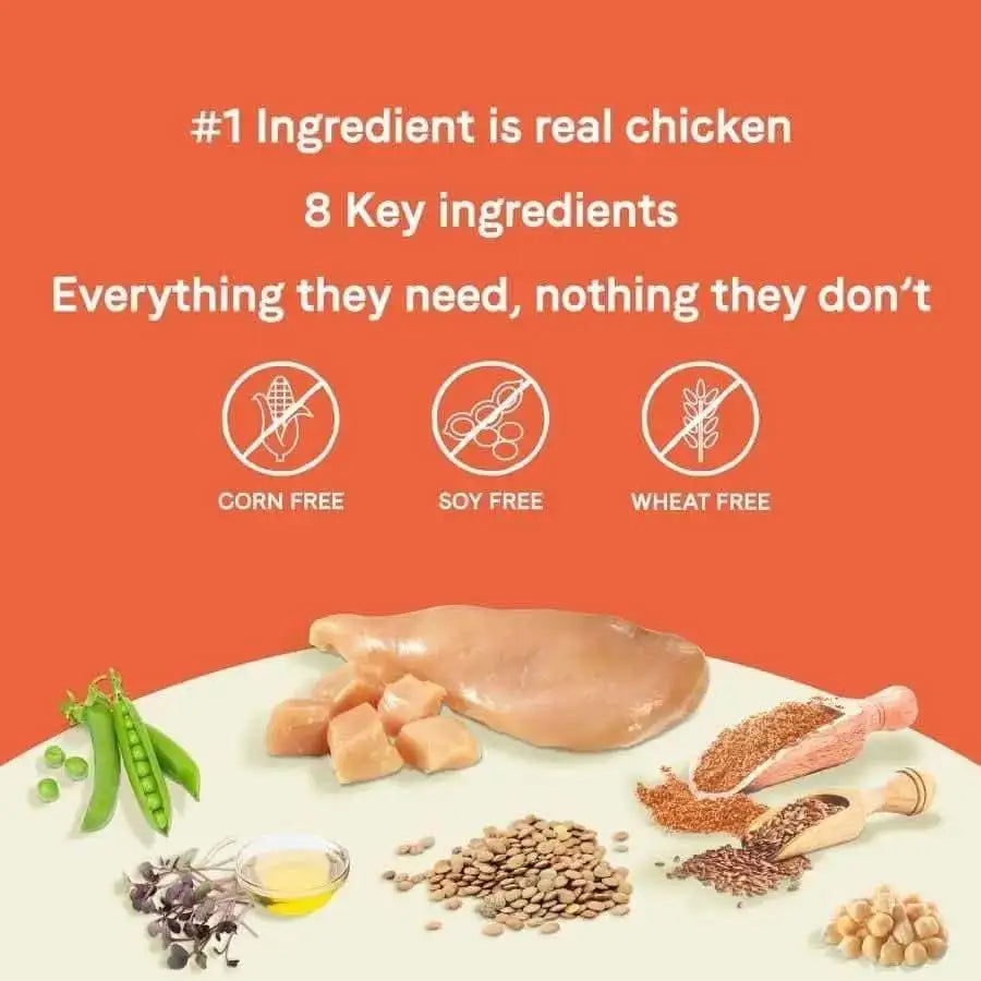A graphic features CANIDAE PURE Grain-Free Real Chicken, Lentil & Pea Dry Dog Food with real chicken as the main ingredient and only 8 key ingredients. Icons show its corn, soy, and wheat free. Illustrated are chicken, lentils, peas, egg, and basil.