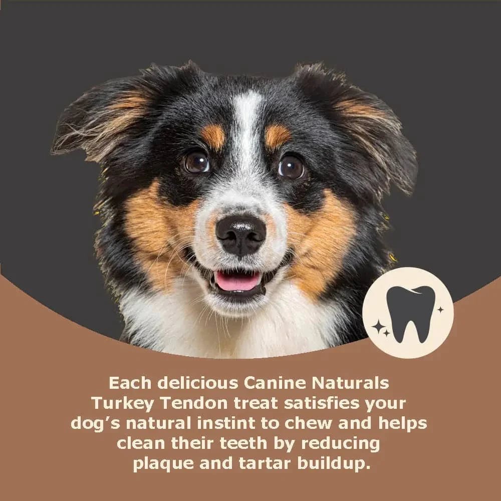 Canine Naturals Natural Turkey Tendon Dog Treats 3oz - Talis Us
