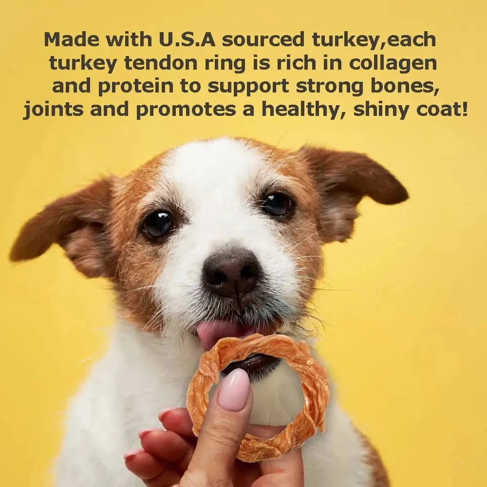 Canine Naturals Slow Roasted Turkey Chews for Dogs 4ct - Talis Us