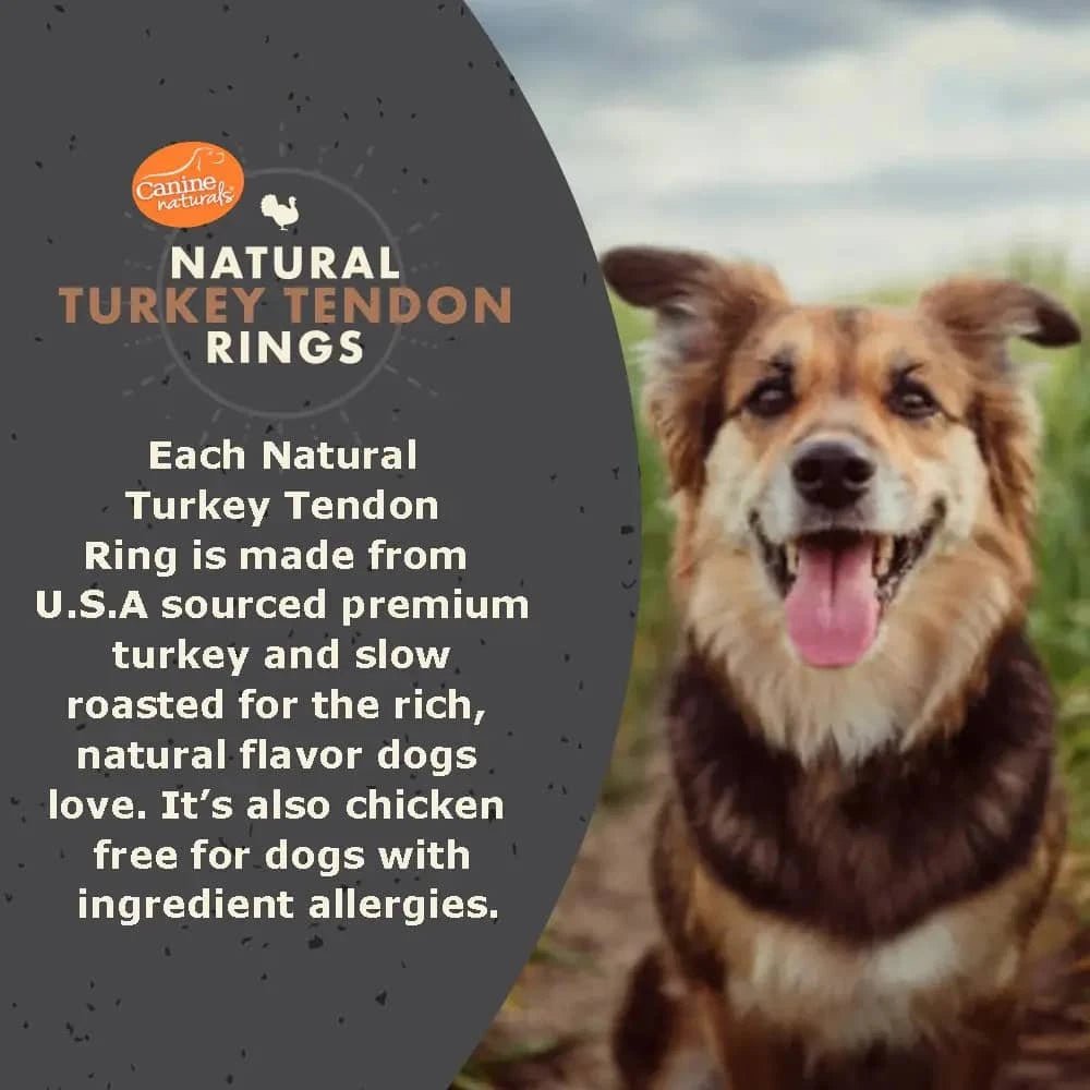 Canine Naturals Slow Roasted Turkey Chews for Dogs 4ct - Talis Us