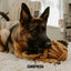 Canophera Coconut Rope Toys for Dogs - Talis Us