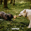 Canophera Coffee Wood & Coconut Rope Dog Toy for All Breeds - Talis Us