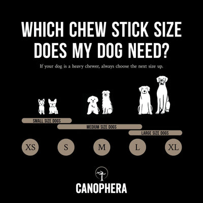 CANOPHERA Sheep Dog Chew Horn - Talis Us