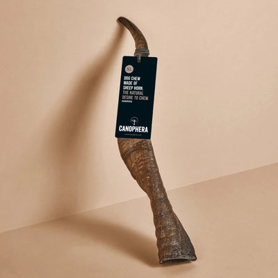 CANOPHERA Sheep Dog Chew Horn - Talis Us
