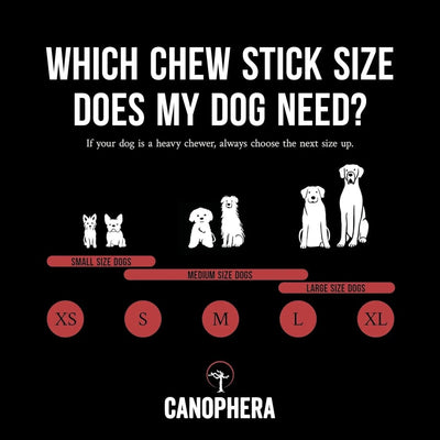 Canophera Split Red Deer Antler for Dogs - Talis Us