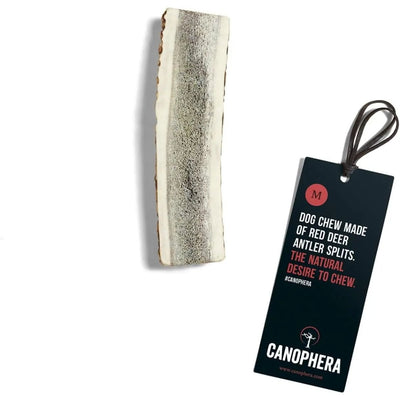 Canophera Split Red Deer Antler for Dogs - Talis Us