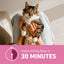 Capstar cat flea tablets without prescription, effective flea control starts killing fleas in 30 minutes