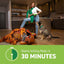 Capstar flea tablet for large dogs starts killing fleas in 30 minutes, shown with a dog in a home setting