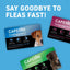 Capstar flea tablets for small dogs in blue and green packaging for quick flea control