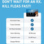 Capstar flea tablets for small dogs kills fleas fast with vet recommended treatment lasting 24-48 hours