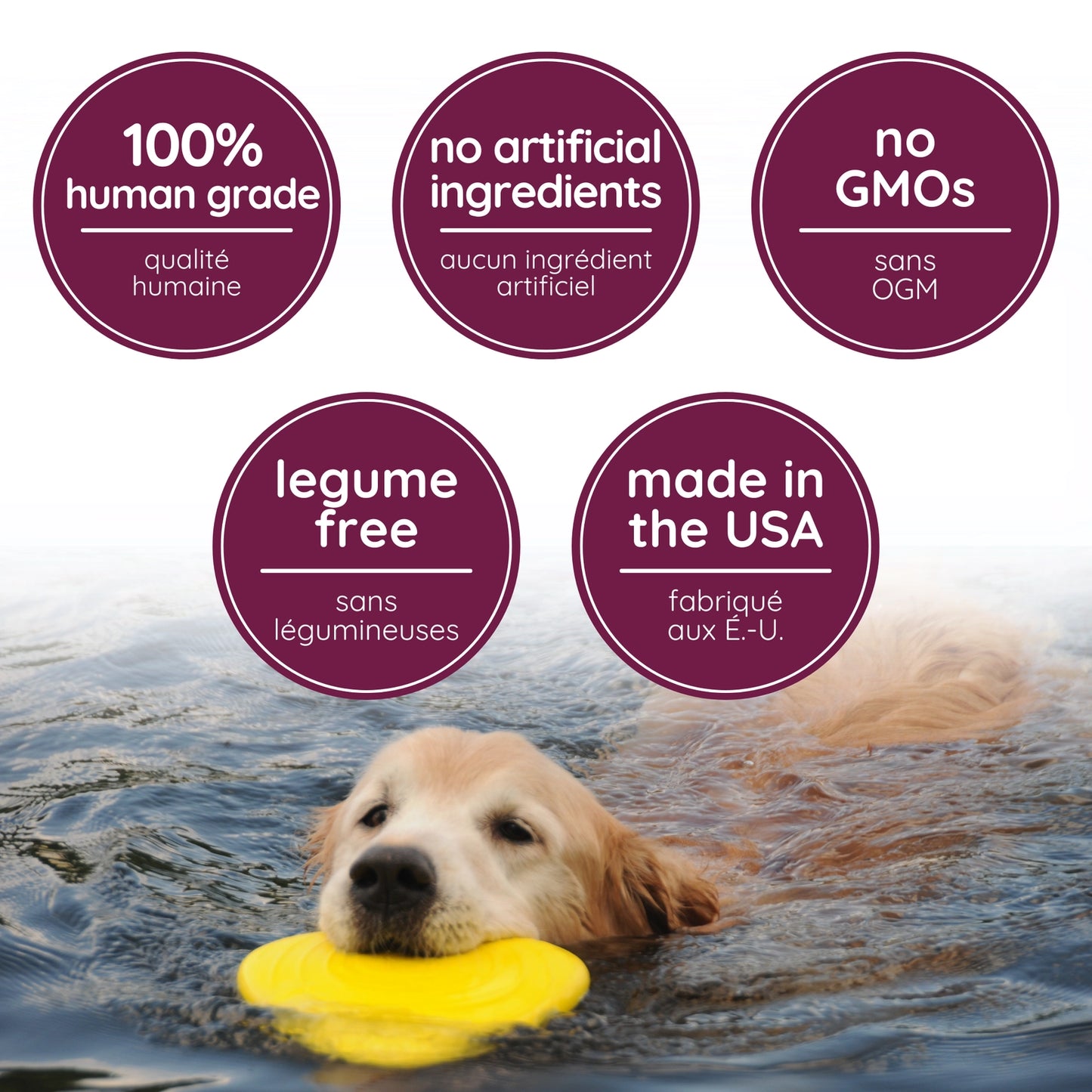 Caru Pet Food apple and sweet potato dog cookies with human-grade ingredients and made in the USA