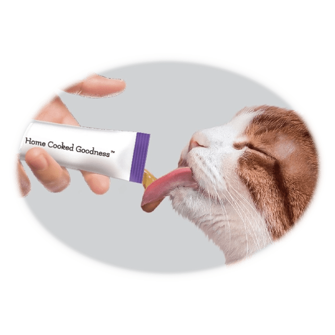 Caru Pet Food Lickable Cat Treats - All - Natural - Talis Us