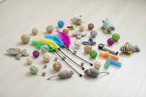 Cat Toys
