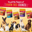 Charlee Bear Grain Free Crunch Dog Treats 8 oz - Talis Us