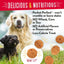 Charlee Bear Grain Free Crunch Dog Treats 8 oz - Talis Us