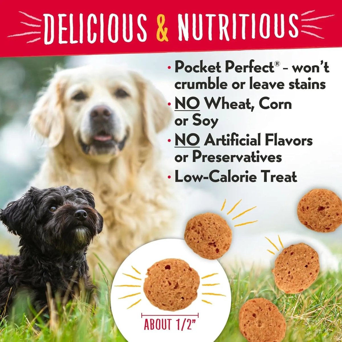 Charlee Bear Grain Free Crunch Dog Treats 8 oz - Talis Us