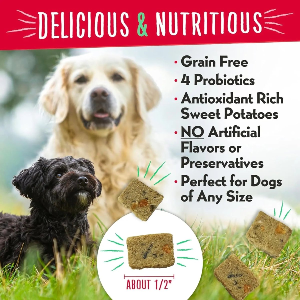 Charlee Bear Meaty Bites Dog Treats 2.5oz - Talis Us
