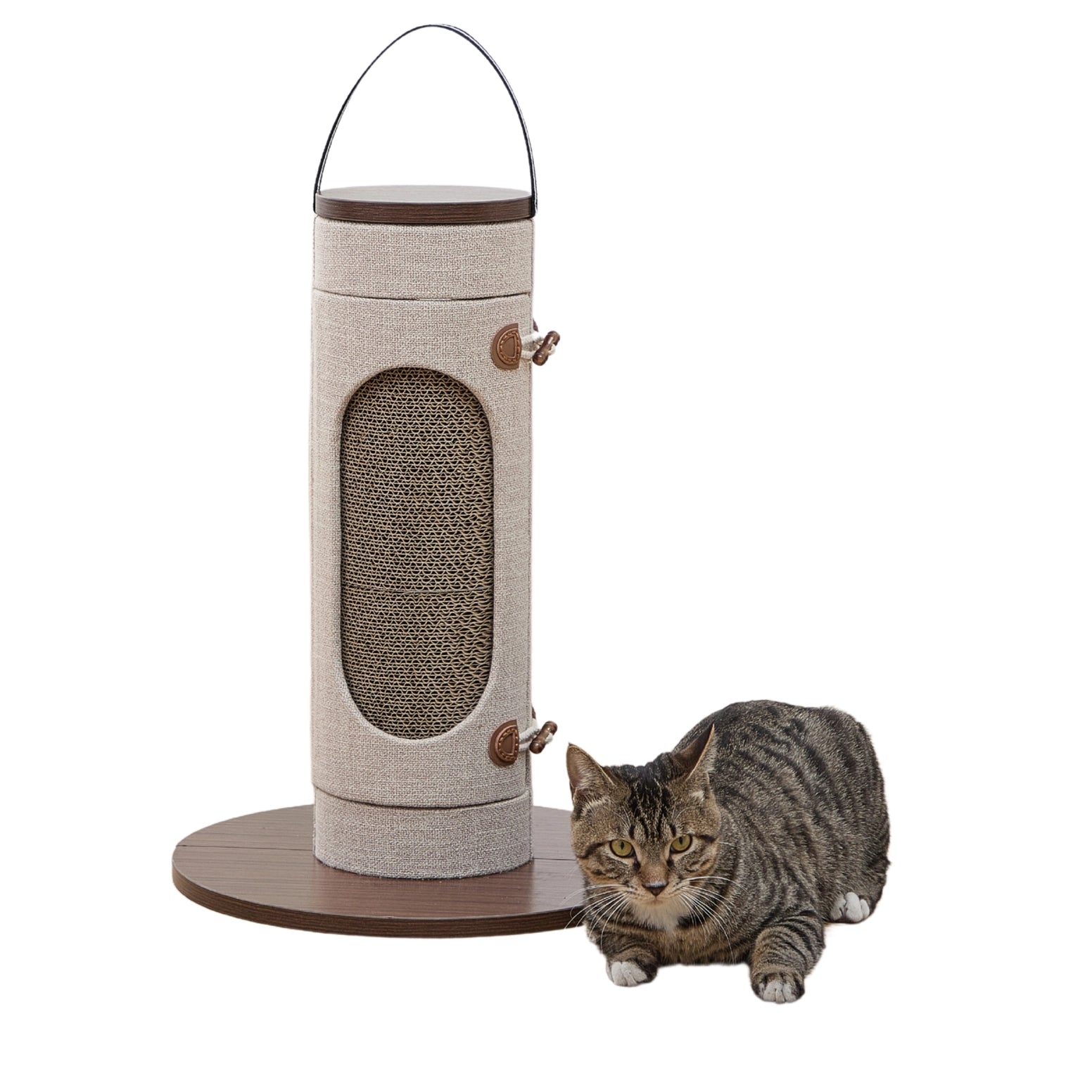 PetPals Group corrugated cardboard cat scratch post with interactive features and a cozy design for cats