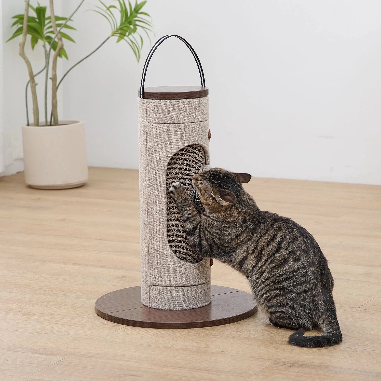 PetPals Group corrugated cardboard cat scratch post for playful cats in a cozy indoor setting