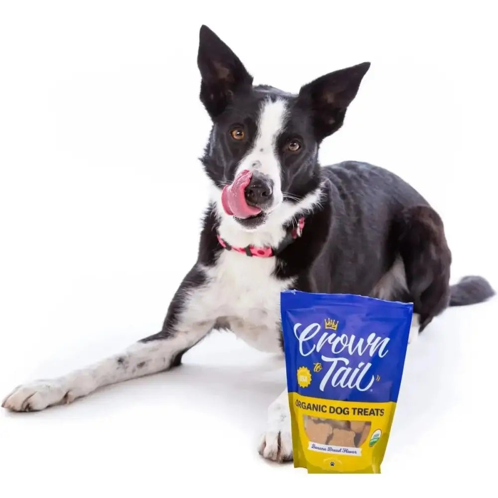 Crown to Tail Organic Banana Bread Crunchy Dog Treats - Talis Us