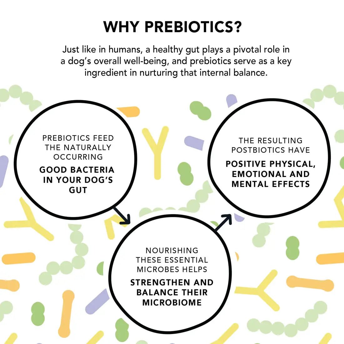 Crumps’ Naturals Gutsy Happy Bites - Mood & Gut Health Dog Treats - Talis Us