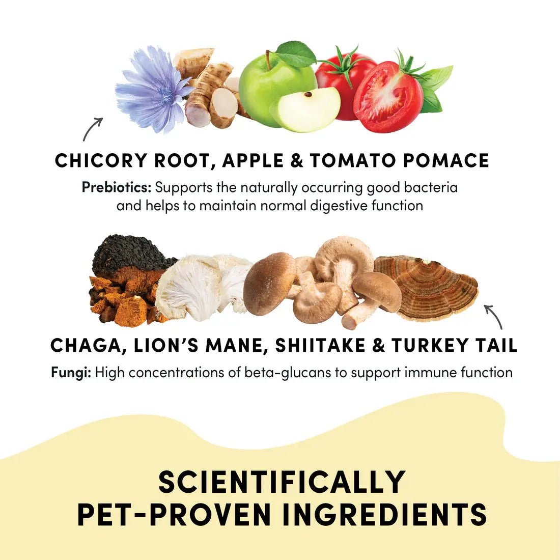 Crumps' Naturals Gutsy Immune Bites with Functional Mushrooms - Talis Us