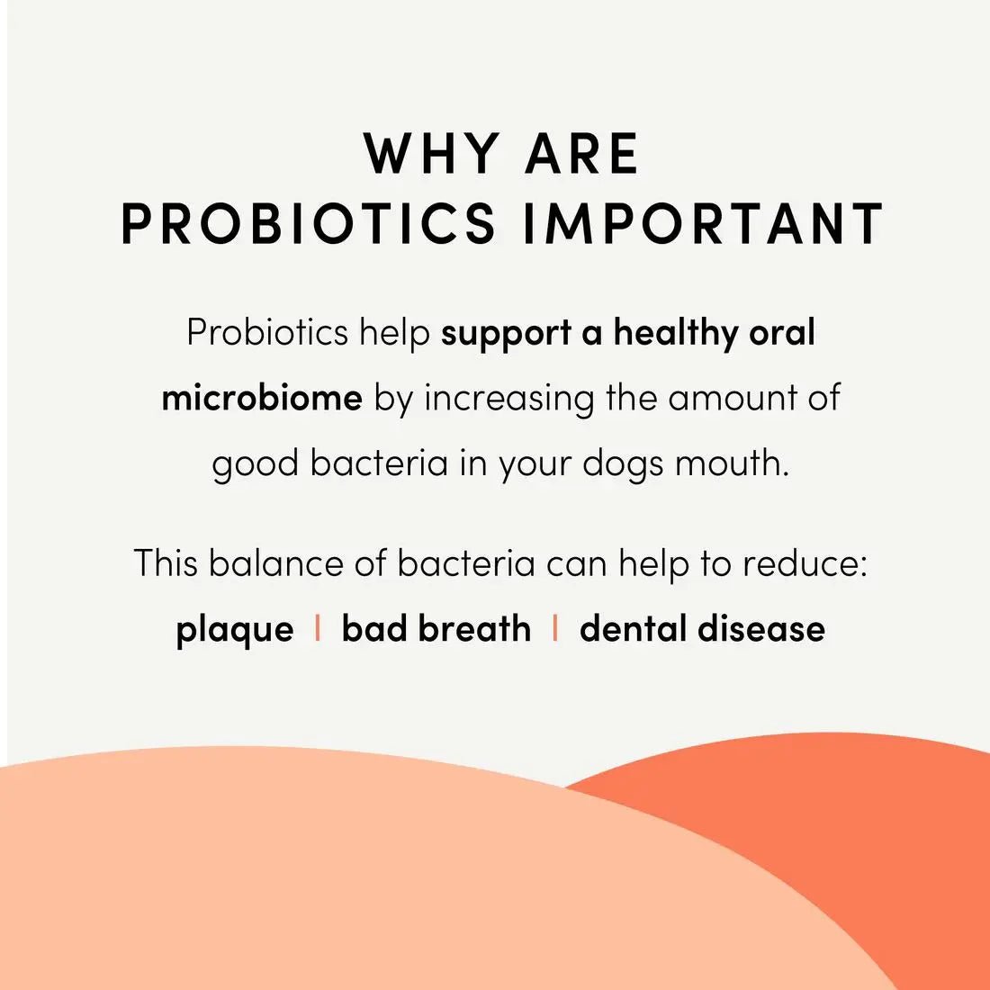 Crumps Plaque Busters Advanced Whole Mouth Care Dental Sticks With Probiotics Dog 10ct 9.5oz - Talis Us