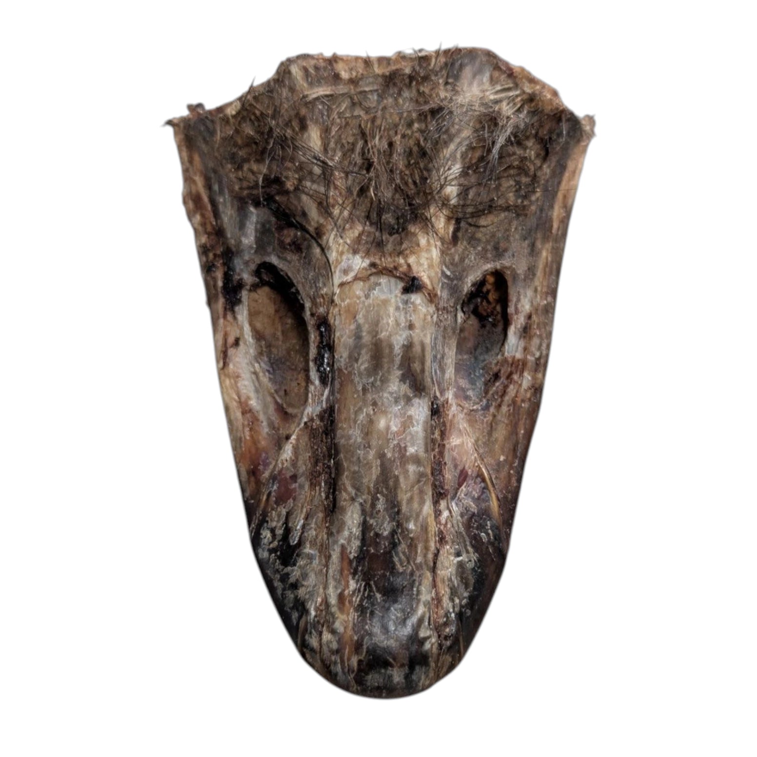 Savannah Pet Food Crunchy Ostrich Beak Dog Treat for Healthy Chewing and Enjoyment